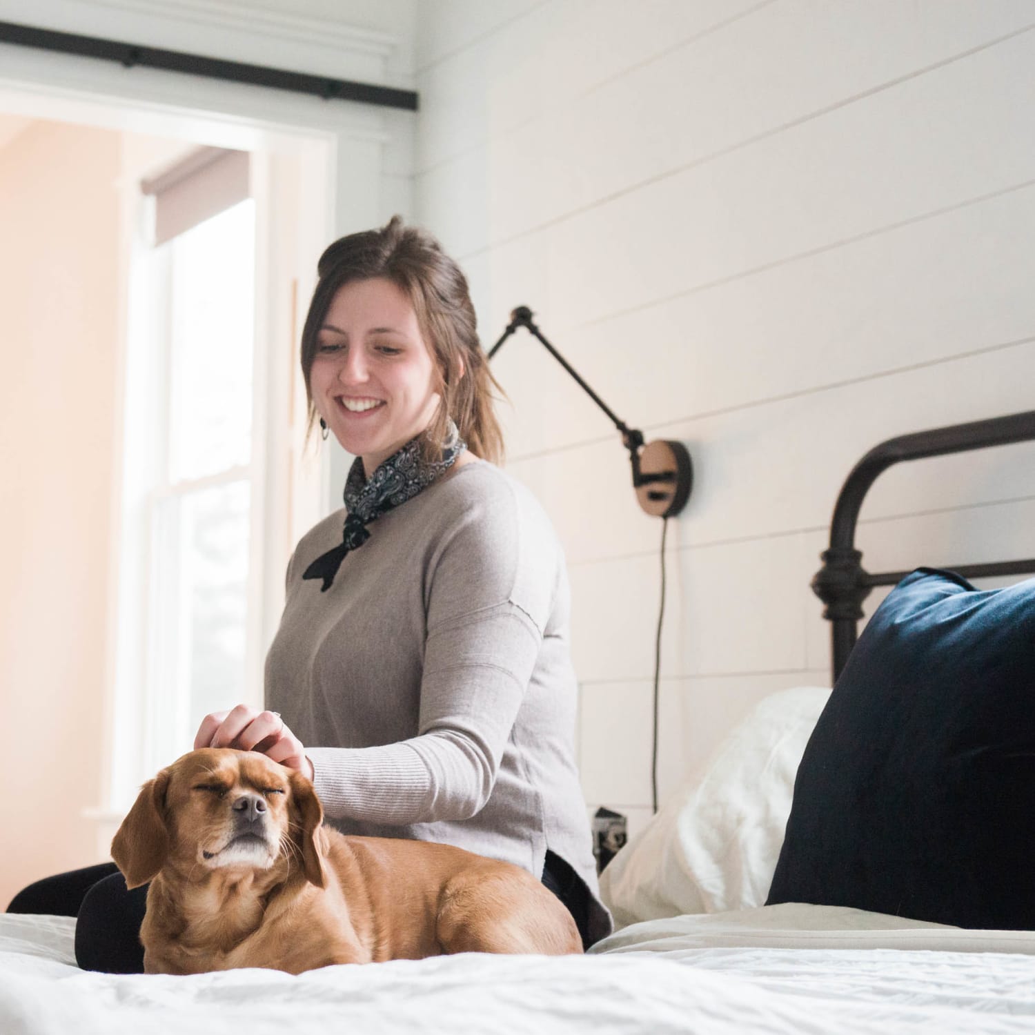 Best dryer sheets for dog hair clearance